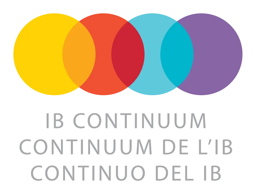 IB Continuum