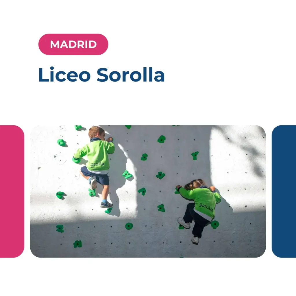 Liceo Sorolla best schools in spain